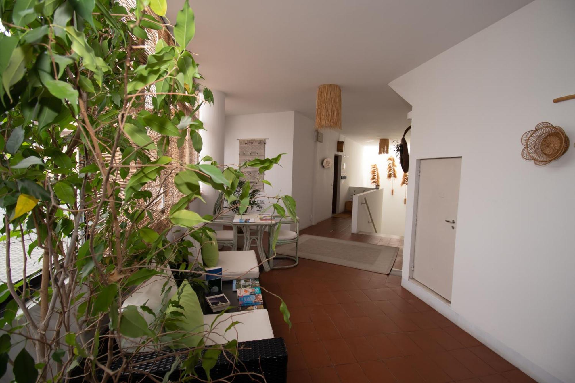 Villa Center - Alojamento Local Grandola Ngoại thất bức ảnh